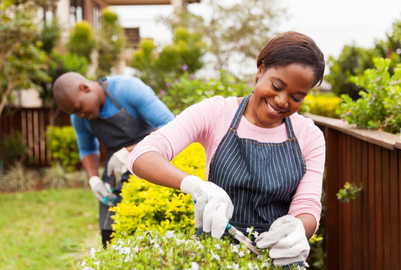 Lawn Maintenance Service