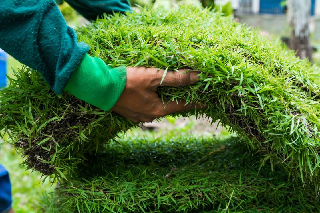 Landscaper